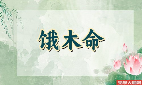 饿木命的人适合做什么行业，你知道么？