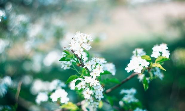 风水大师分析:如何增加财运