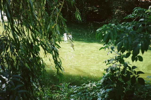 专题图片:癸水女生是几月，癸水生月详解