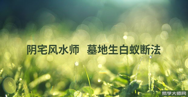 阴宅风水师 墓地生白蚁断法