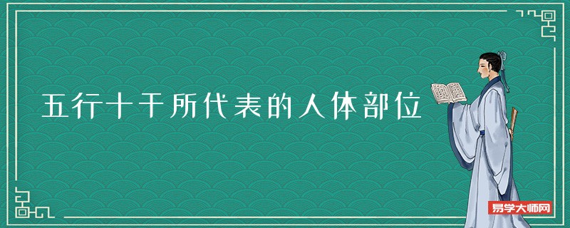 解析五行十干所代表的人体部位_四柱代表身体的部位