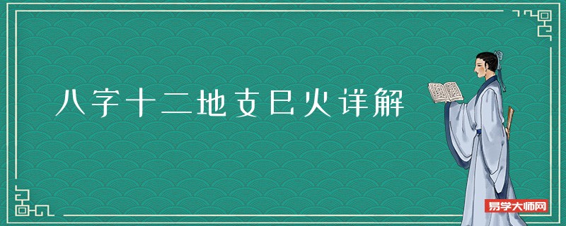 八字十二地支巳火详解