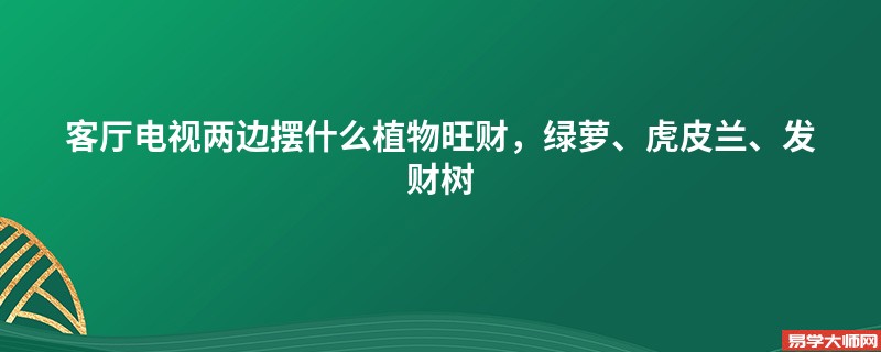 客厅电视两边摆什么植物旺财，绿萝、虎皮兰、发财树