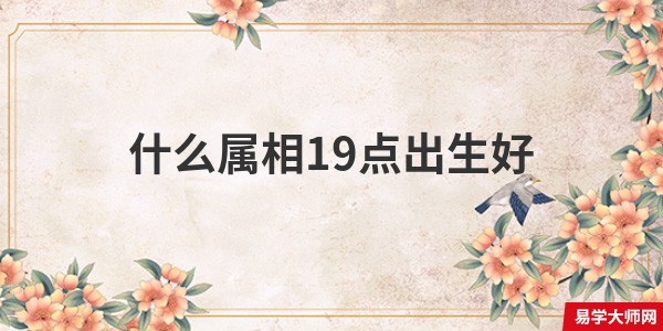 什么属相19点出生好