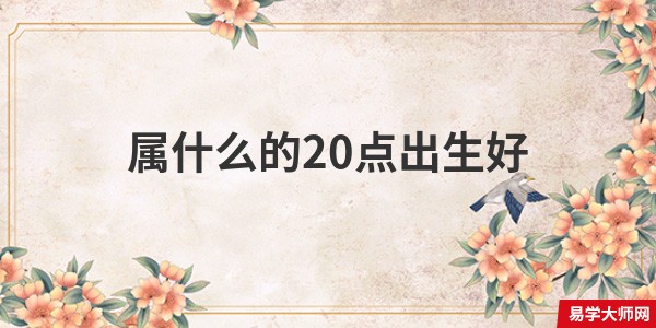 属什么的20点出生好