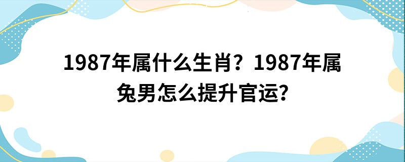 1987年属什么生肖？1987年属兔男怎么提升官运？