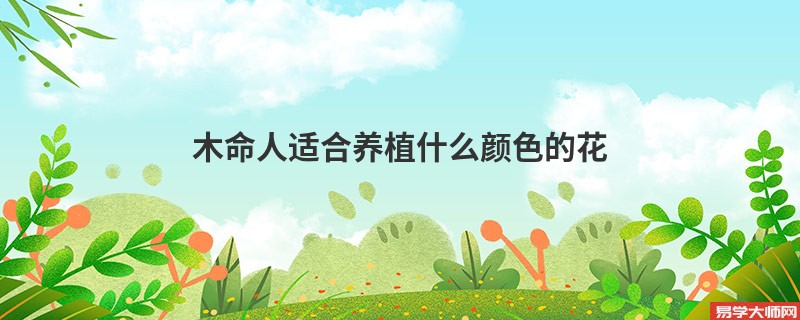 木命人适合养植什么颜色的花