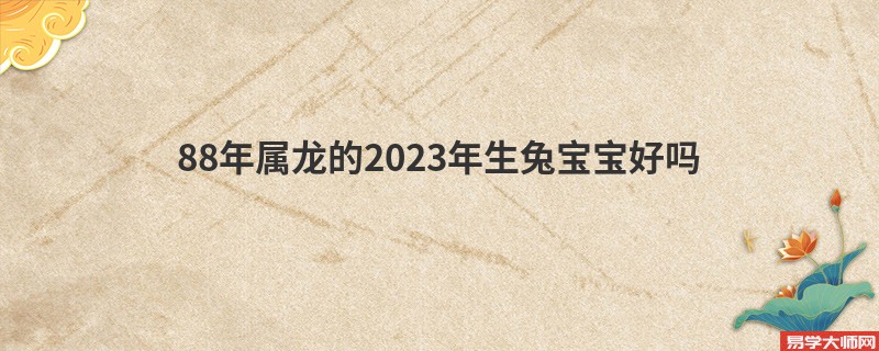 88年属龙的2023年生兔宝宝好吗