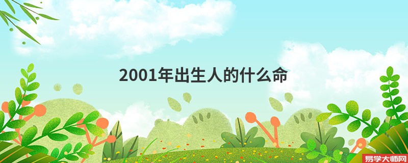 2001年出生人的什么命