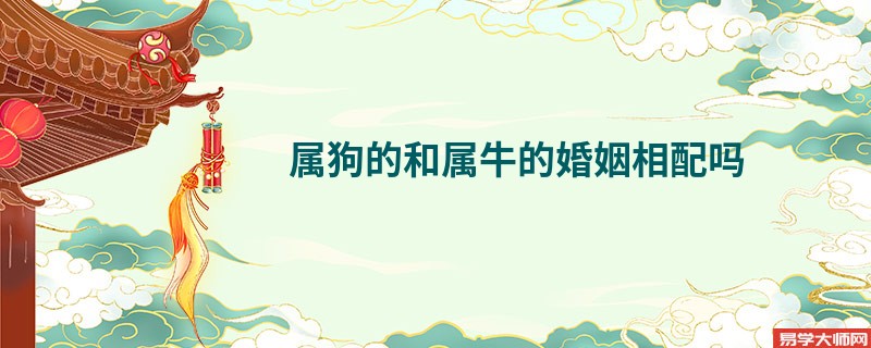 属狗的和属牛的婚姻相配吗