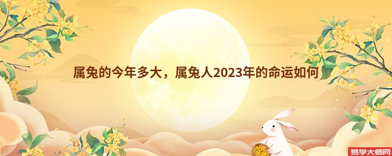 属兔的今年多大，属兔人2023年的命运如何