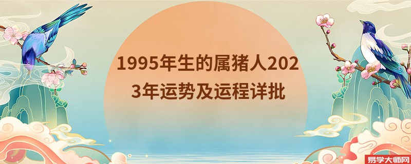 [批运势]1995年生的属猪人2023年运势及运程详批