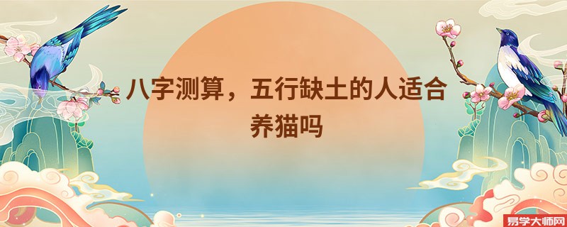 八字测算，五行缺土的人适合养猫吗