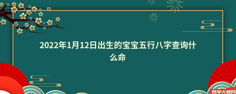 2022年1月12日出生的宝宝五行八字查询什么命