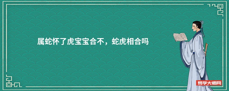 属蛇怀了虎宝宝合不，蛇虎相合吗