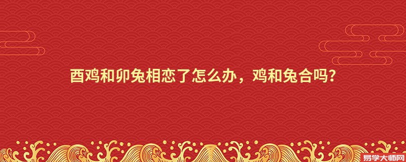 酉鸡和卯兔相恋了怎么办，鸡和兔合吗？