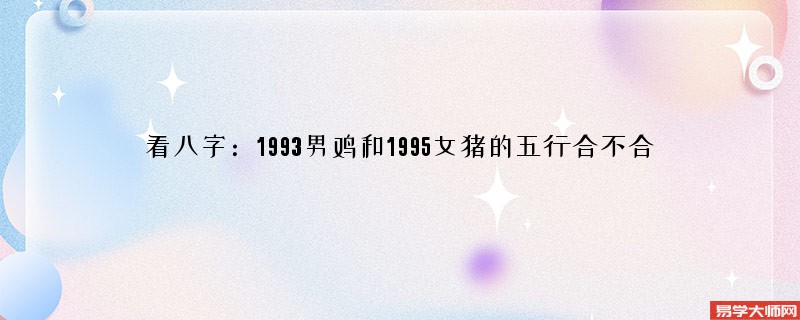 看八字：1993男鸡和1995女猪的五行合不合