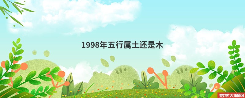 1998年五行属土还是木