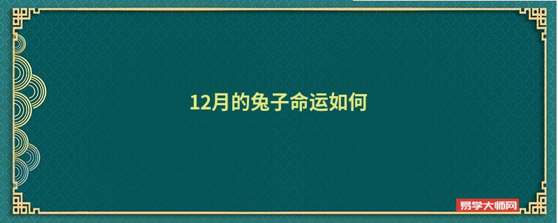 12月的兔子命运如何