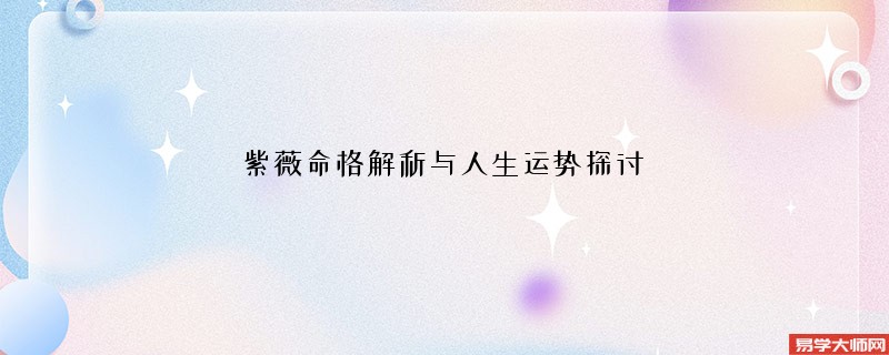 紫薇命格解析与人生运势探讨