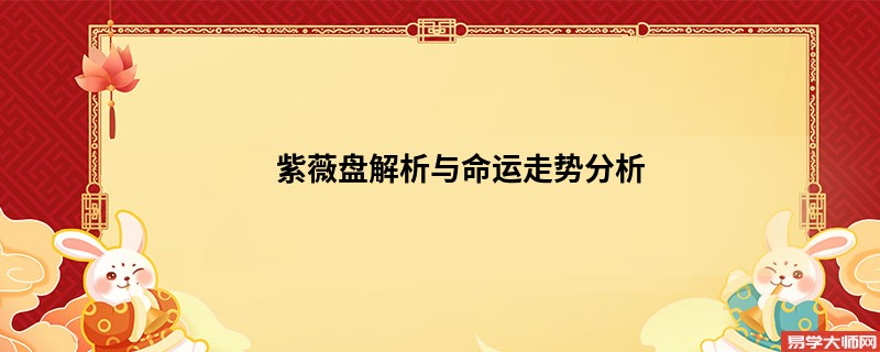 紫薇盘解析与命运走势分析