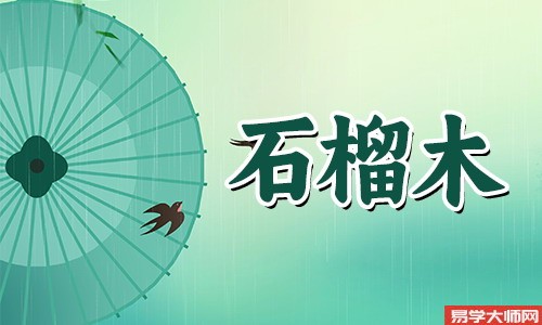 石榴木命带正印运势怎么样，命理详解如下