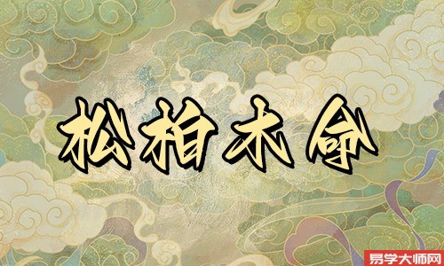 松柏木命带正印运势怎么样？八字入门栏目详解为你揭露