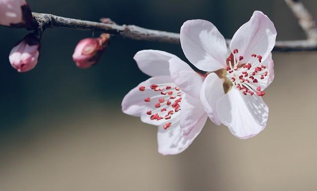 卧室风水对夫妻双方桃花的五点影响