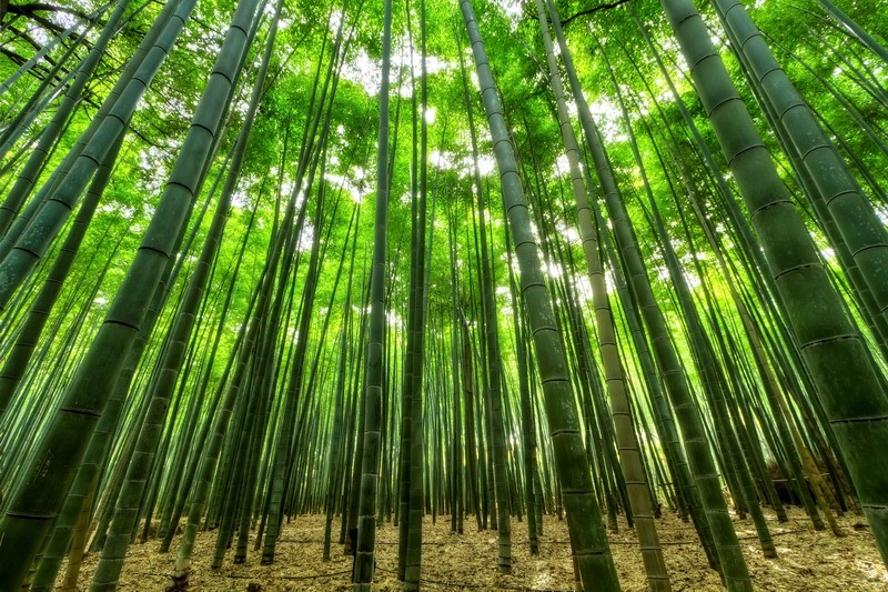 怎样看风水墓地